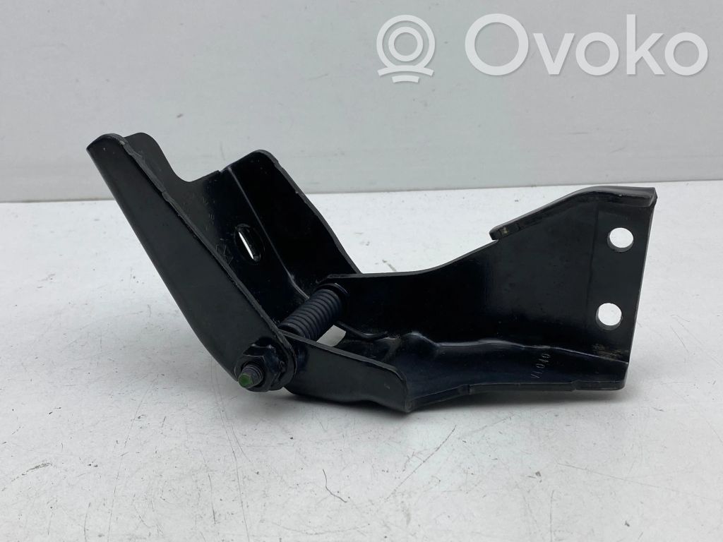 Rear door lower hinge   995AC,7L081V