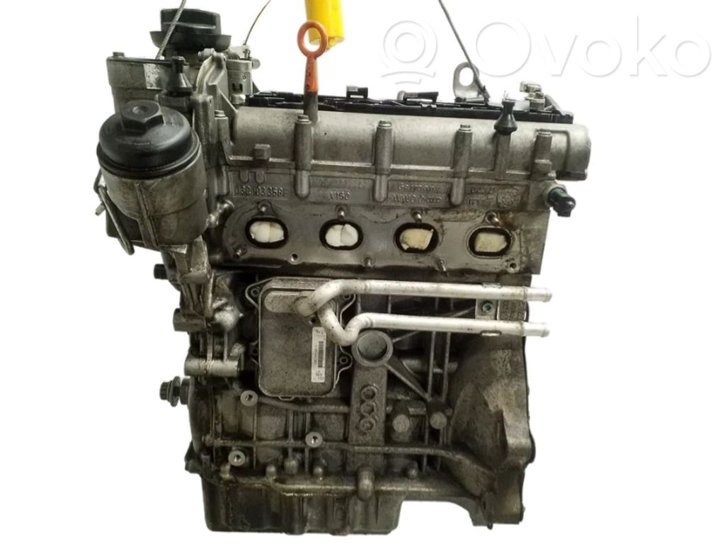 Motor   BLF