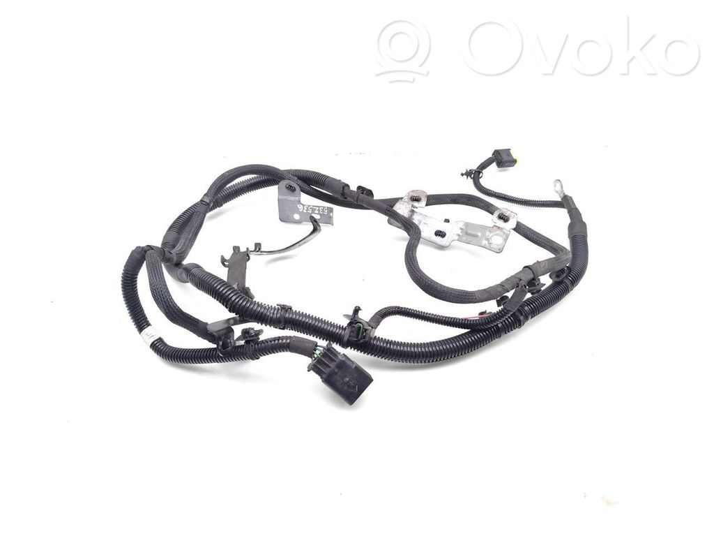 Cablaggi (generatore/alternatore)   9823822280,9823920680