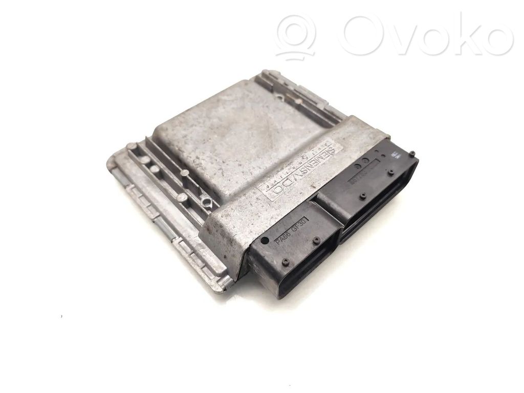 Ford Focus Engine control unit/module 