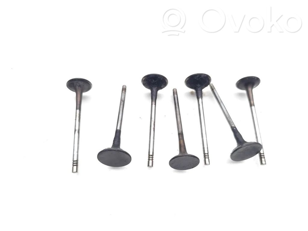 Ford Focus Vārsts (-i) 