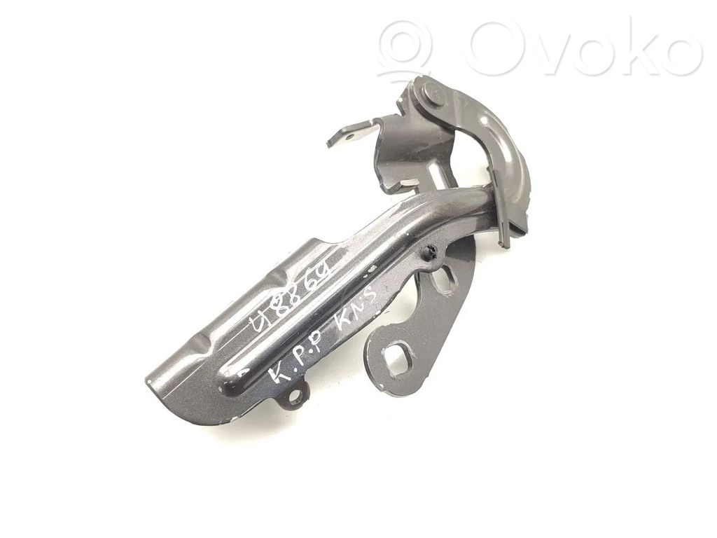 Ford Courier Cerniere del vano motore/cofano 