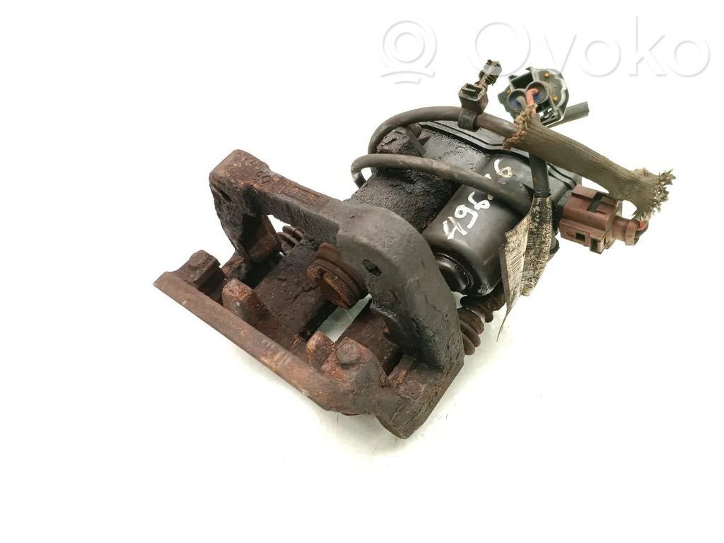Takajarrusatula   BJ3214N118EB