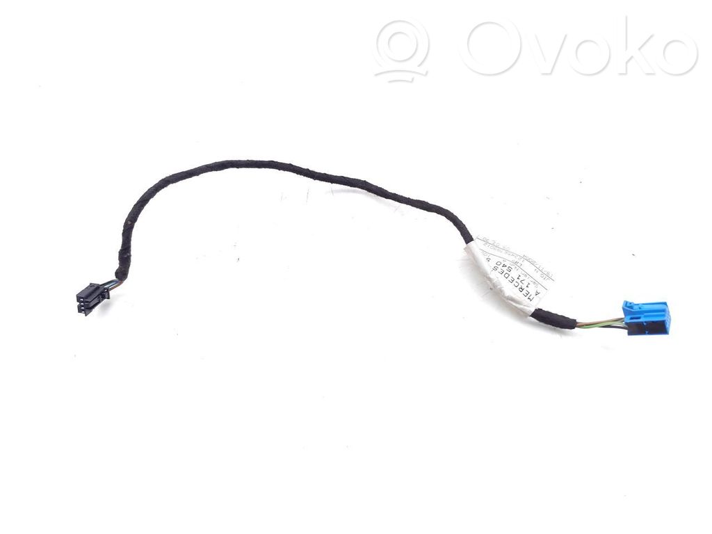 Mercedes-Benz SLK AMG R170 Cablaggio/alloggiamento cablaggio della portiera anteriore 
