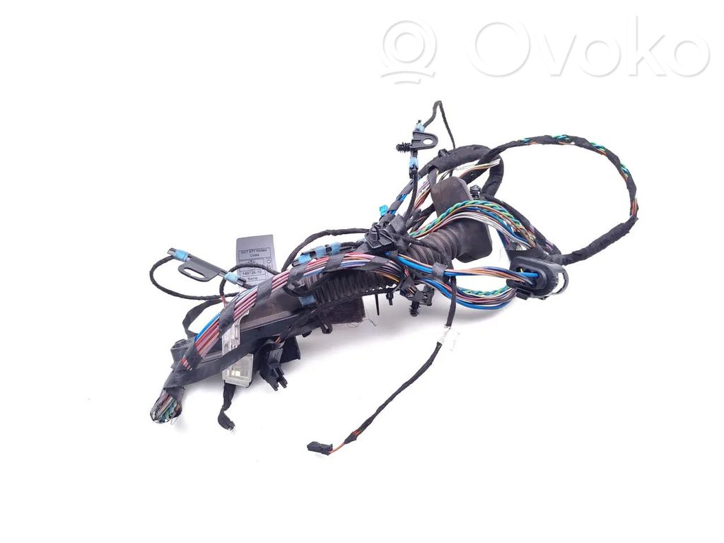 BMW X6 E71 Cableado de puerta trasera 