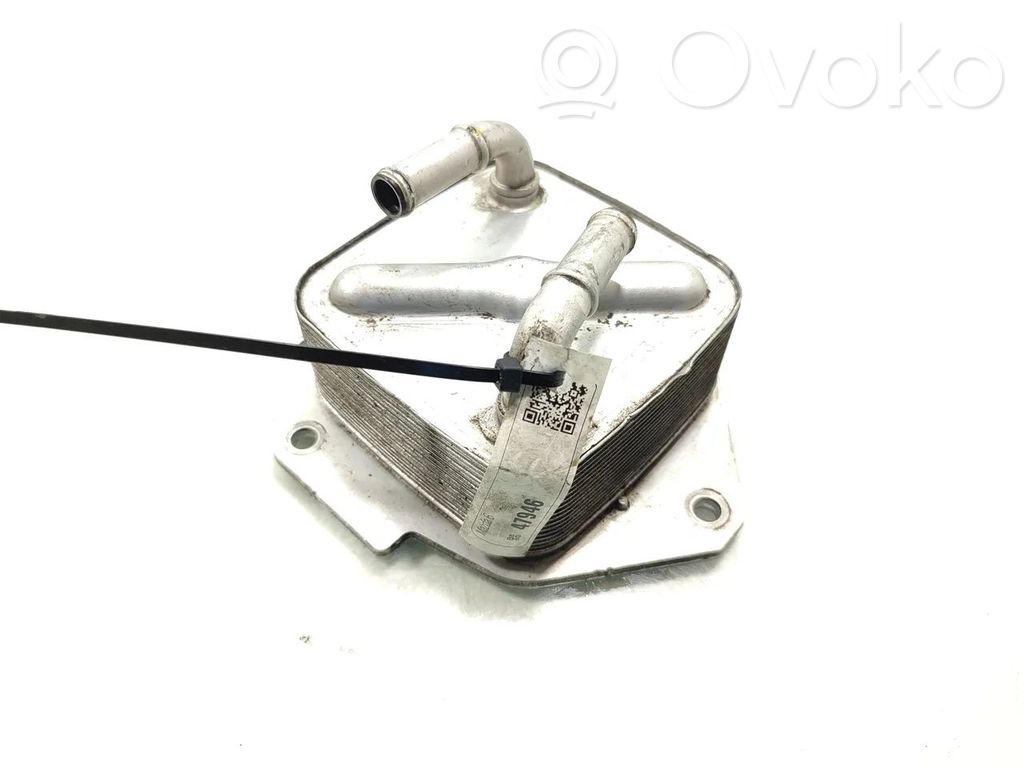 Engine oil radiator   2Y23