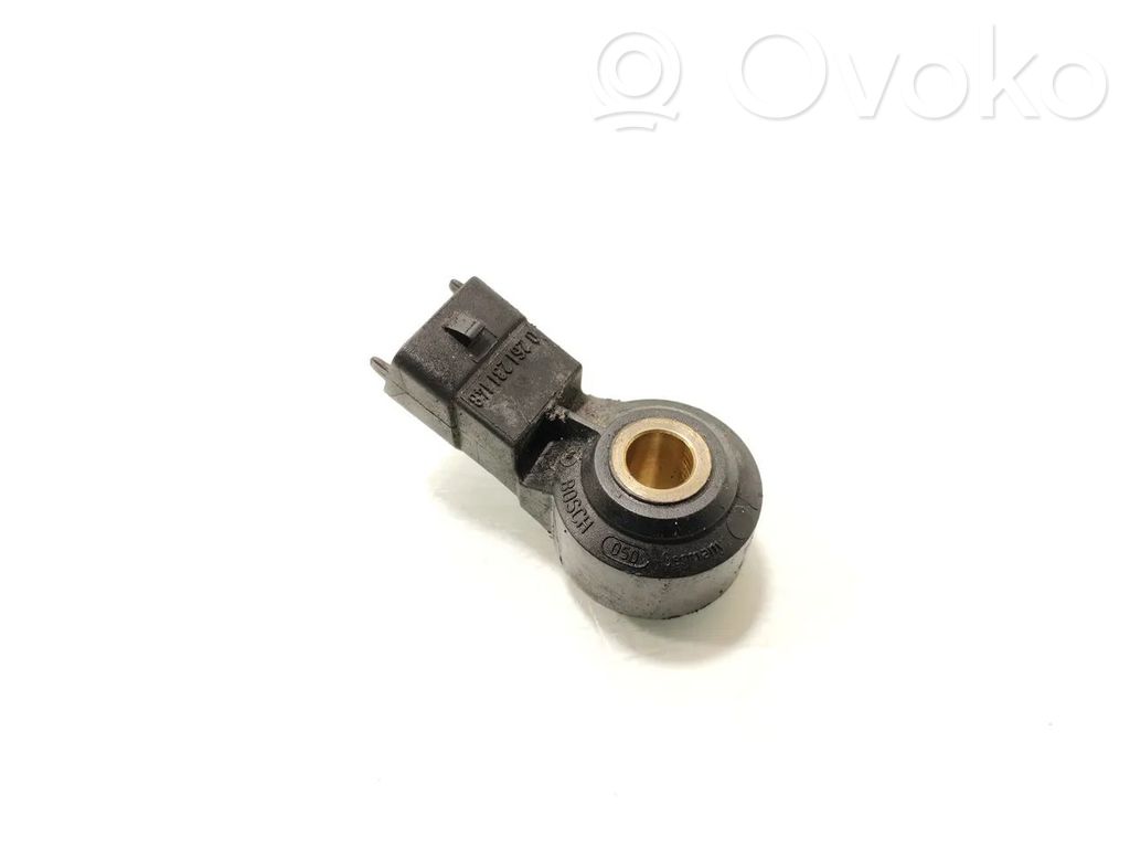 Porsche Cayenne (9PA) Klopfsensor 