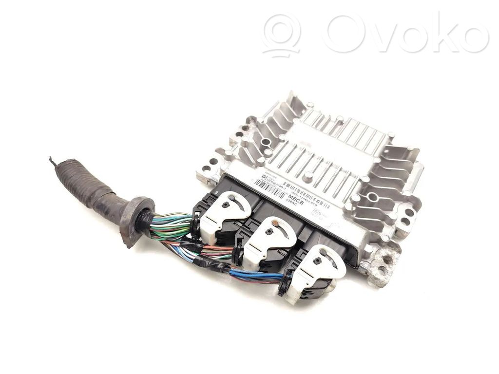 Ford Focus Engine control unit/module 