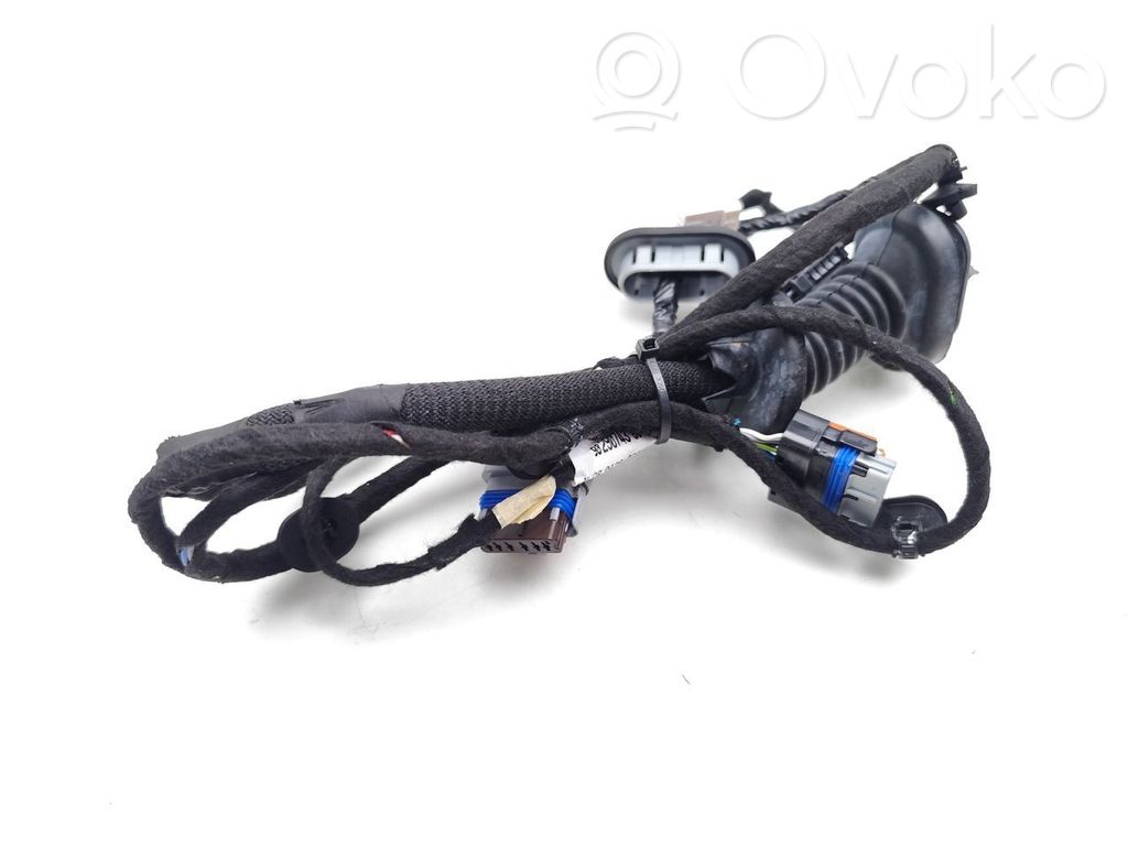 Cableado de puerta trasera   9829074380