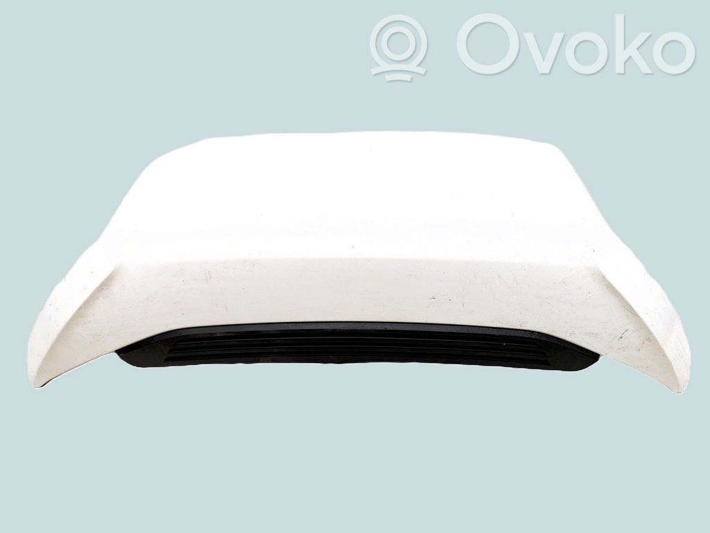 Engine bonnet/hood
