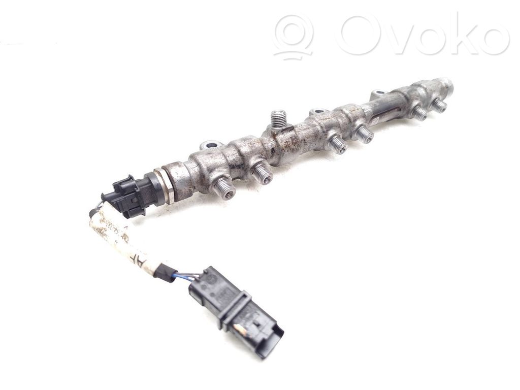 Land Rover Range Rover Sport L494 Rampă alimentare injectoare 