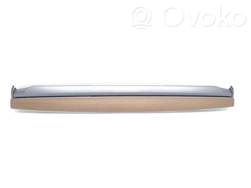 Moldura del panel (Usadas)   111073000A