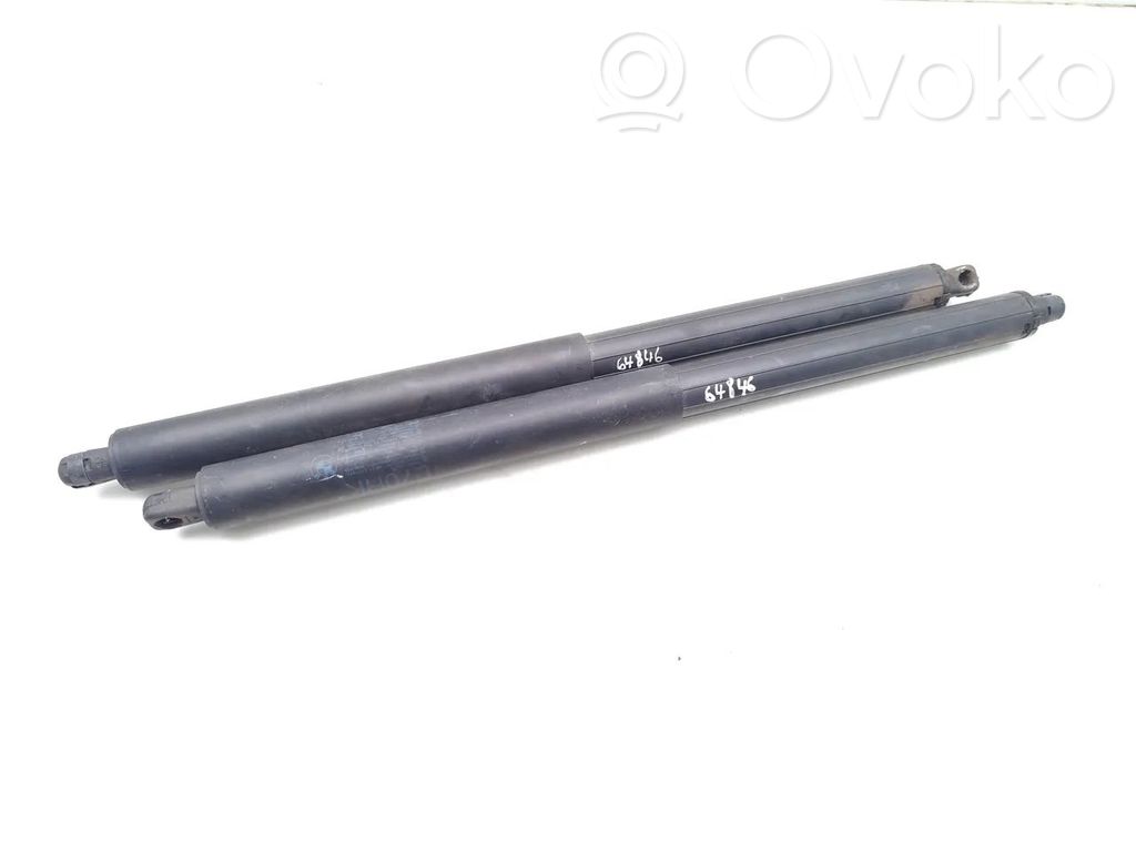 Tailgate/trunk strut/damper   E70HK