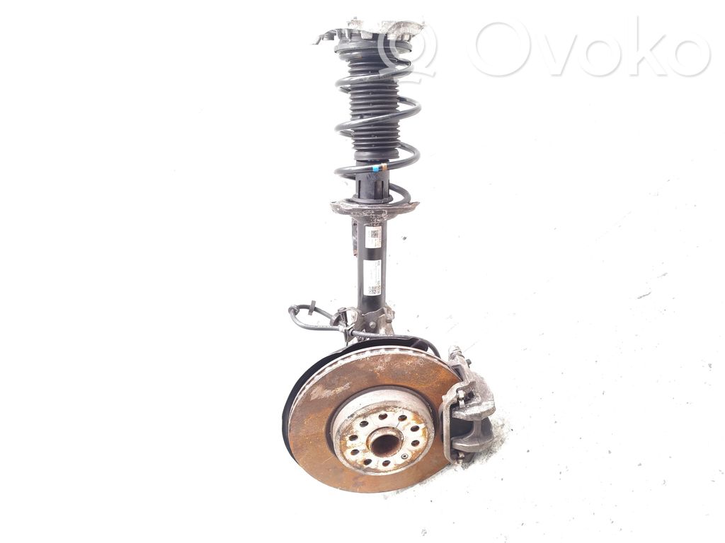 Cupra Born Front wheel hub spindle knuckle 