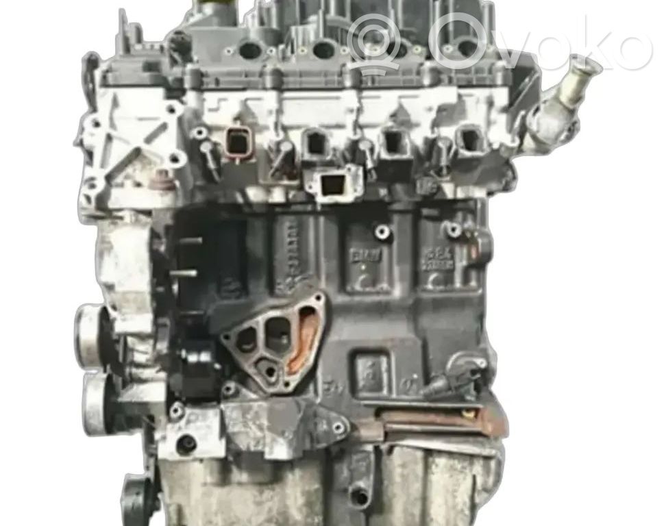 Variklis   204D3