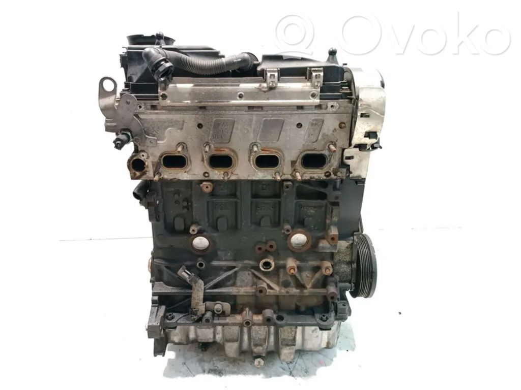 Skoda Octavia Mk2 (1Z) Variklis 