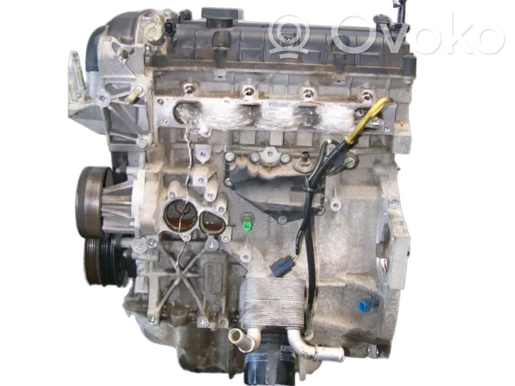 Ford Focus Motor