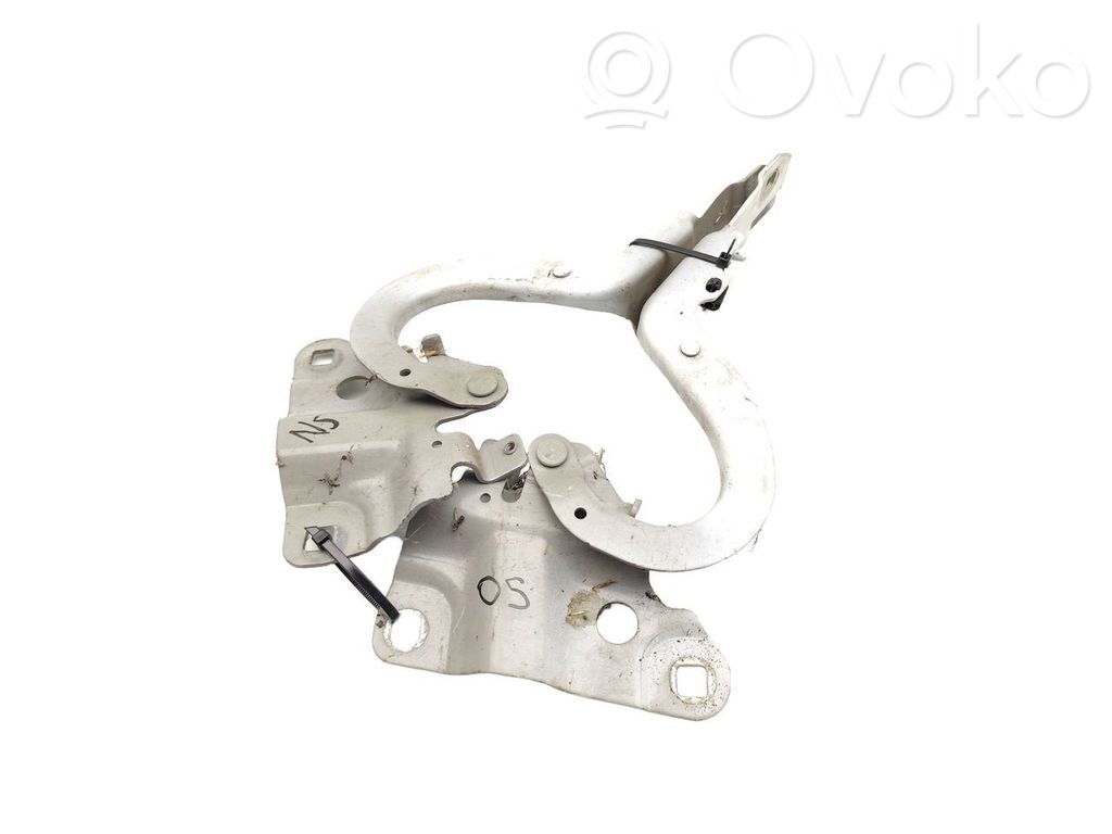 Renault Zoe Scharnier Motorhaube
