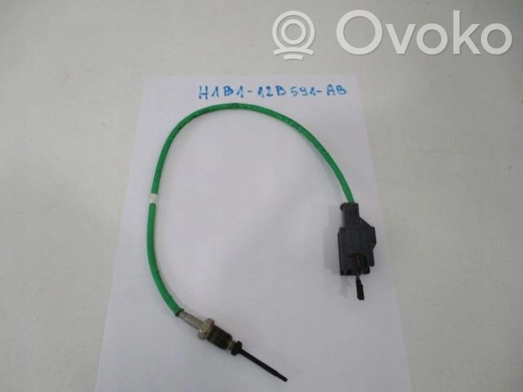 Ford Fiesta Exhaust gas temperature sensor 