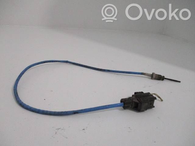 Peugeot Boxer Izplūdes gāzu temperatūras sensors 