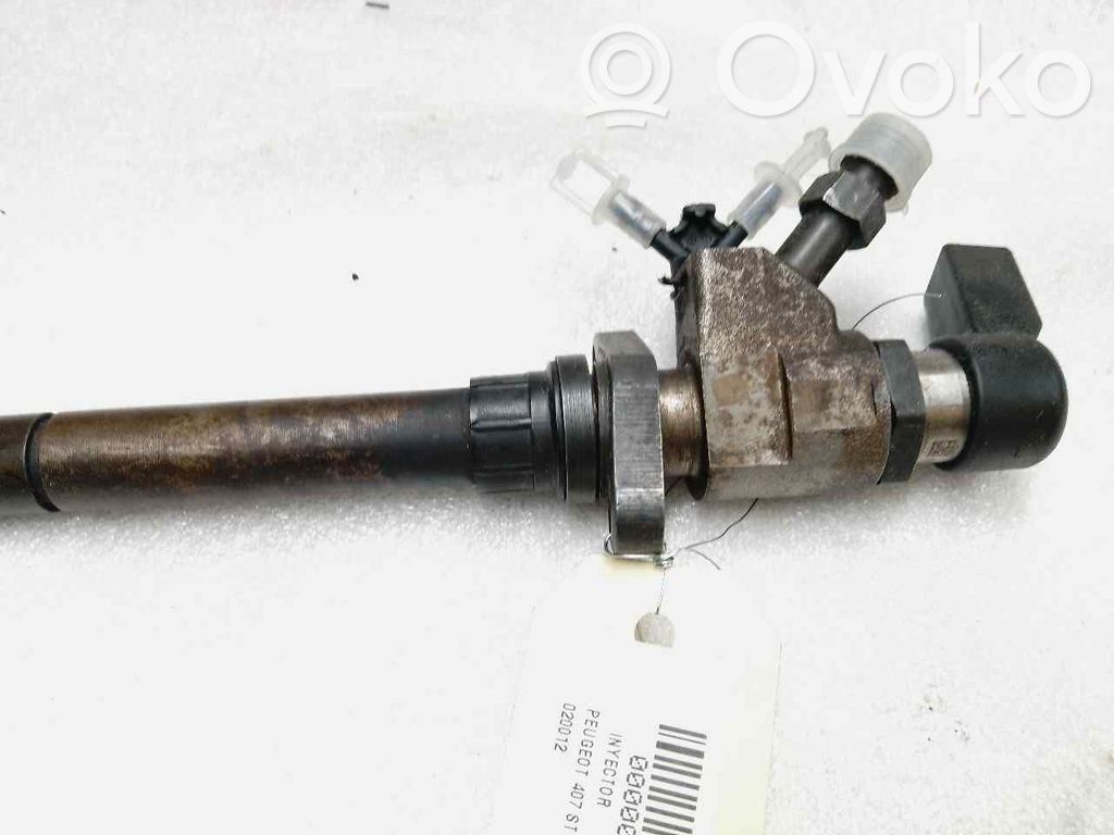 Peugeot 407 Fuel injector 