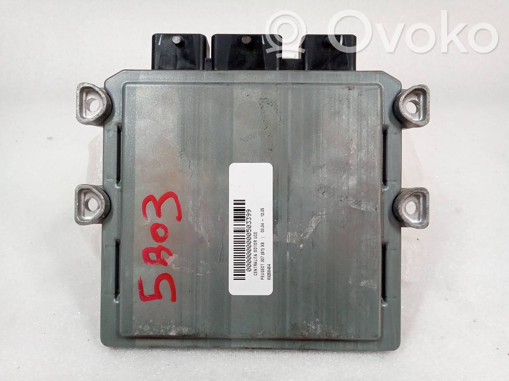 Engine control unit/module   SW9651942480