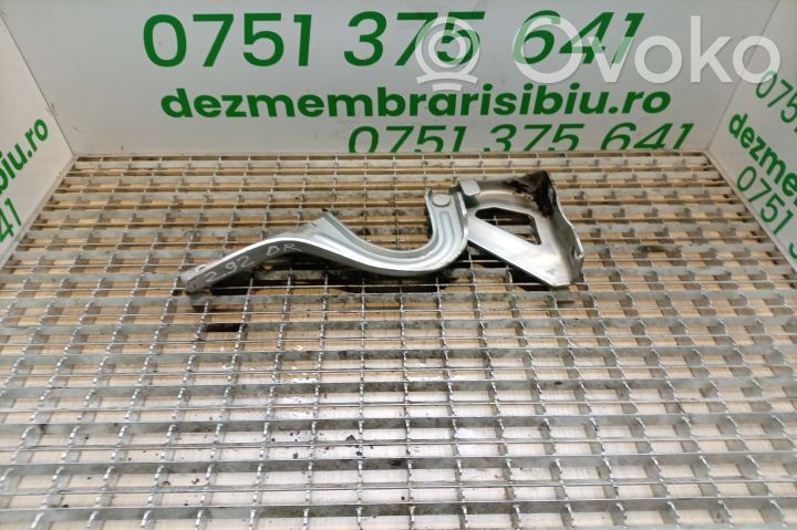 Dzinēja pārsega eņģe (-es)