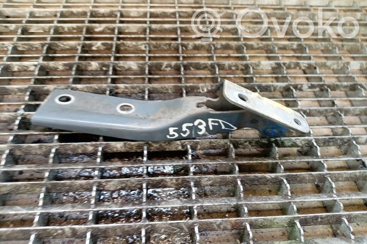 Engine bonnet/hood hinges