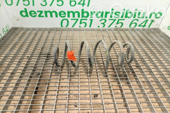 Rear coil spring