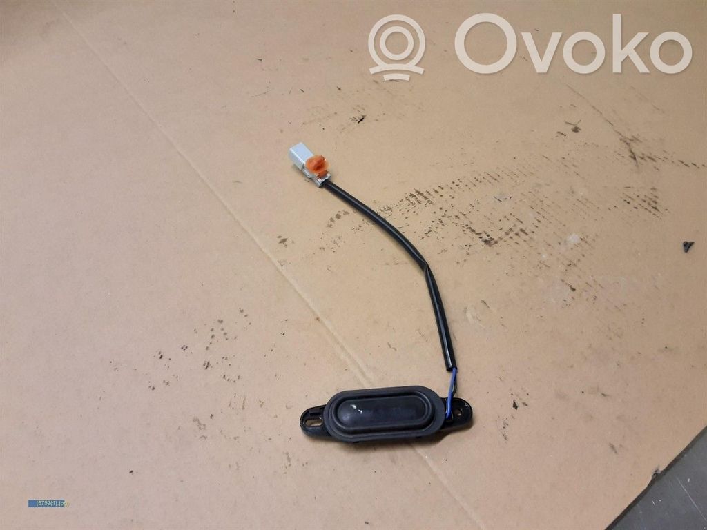Tailgate/trunk strut/damper