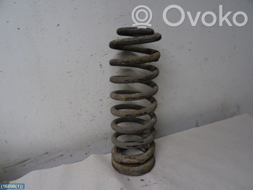Rear coil spring