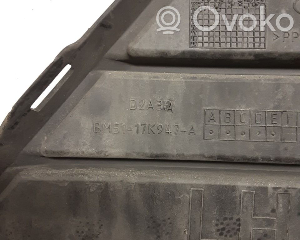 Ford Focus Front bumper lower grill 
