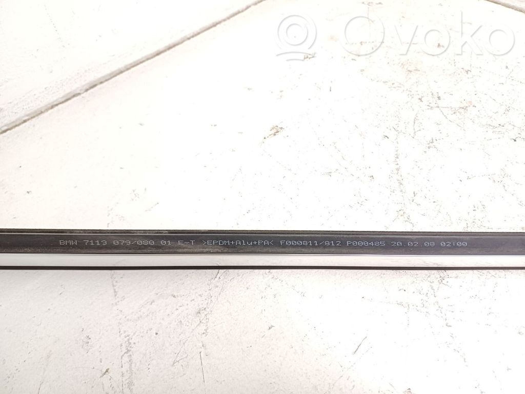 BMW 3 E92 E93 Front door trim (molding) 