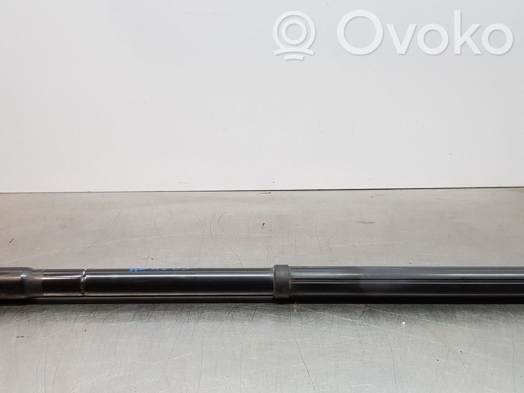 Ford C-MAX II Tailgate/trunk strut/damper 