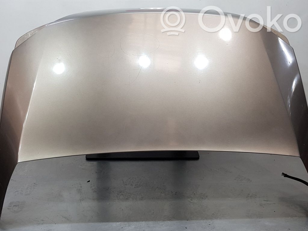 Ford Focus Rear door 