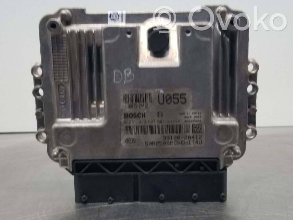 Engine control unit/module   391252A412,0281019597