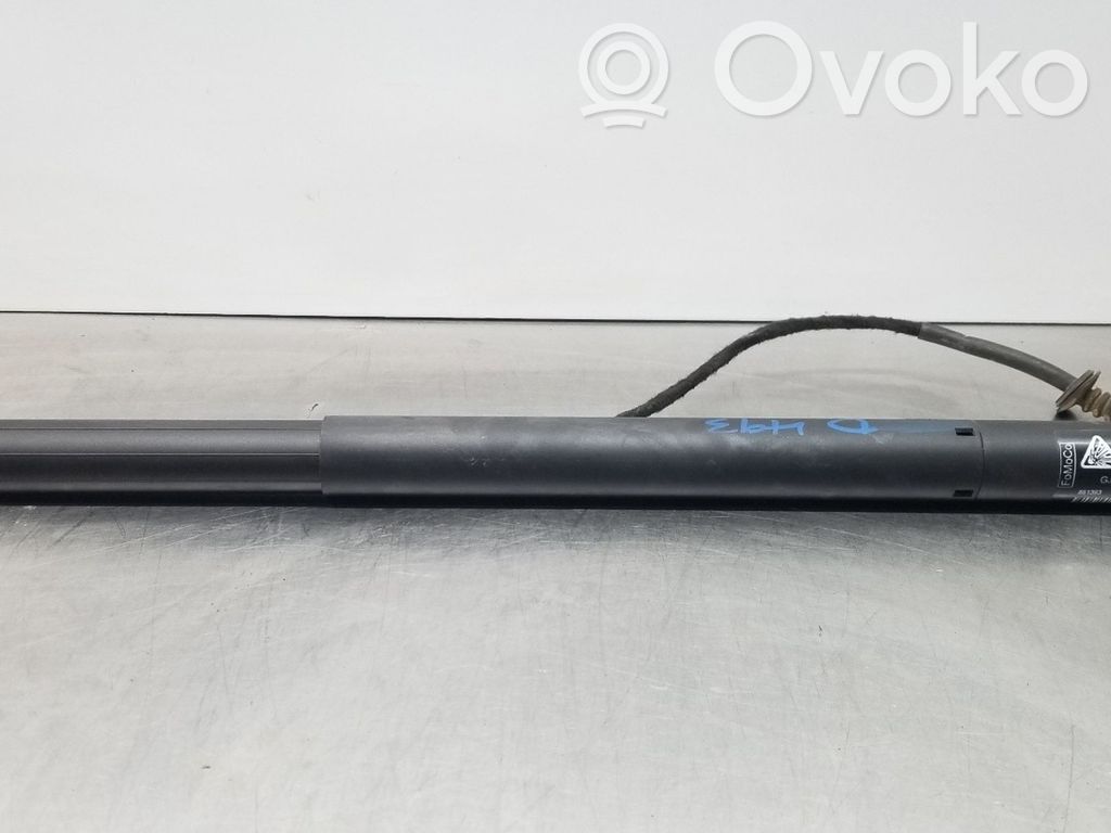 Ford Focus Tailgate/trunk strut/damper 