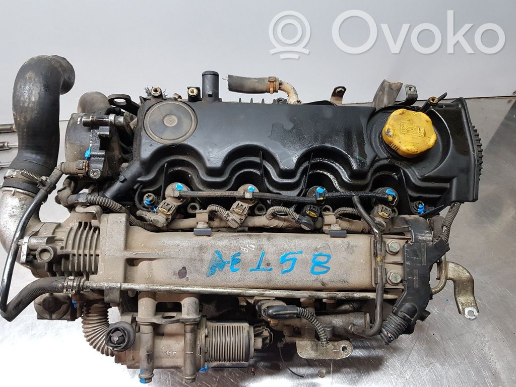 Engine head   5607152