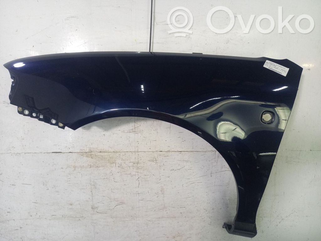 Guardabarro   8L0821105