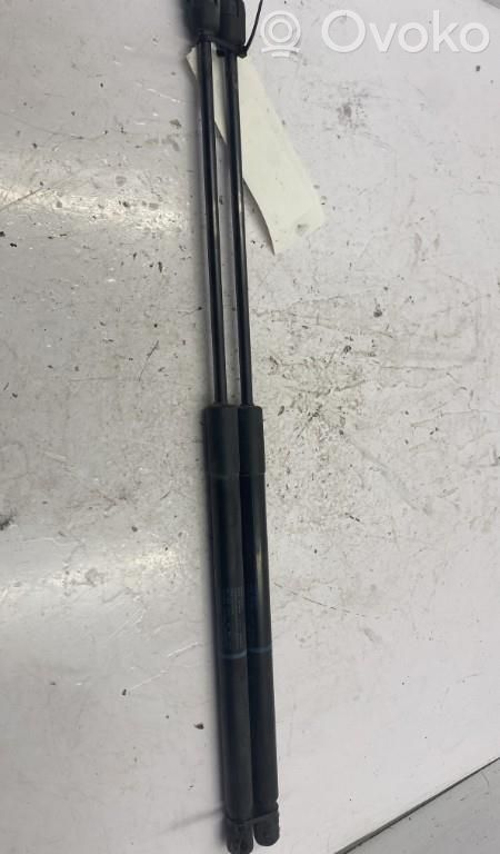 Tailgate/trunk strut/damper   8X4827552B