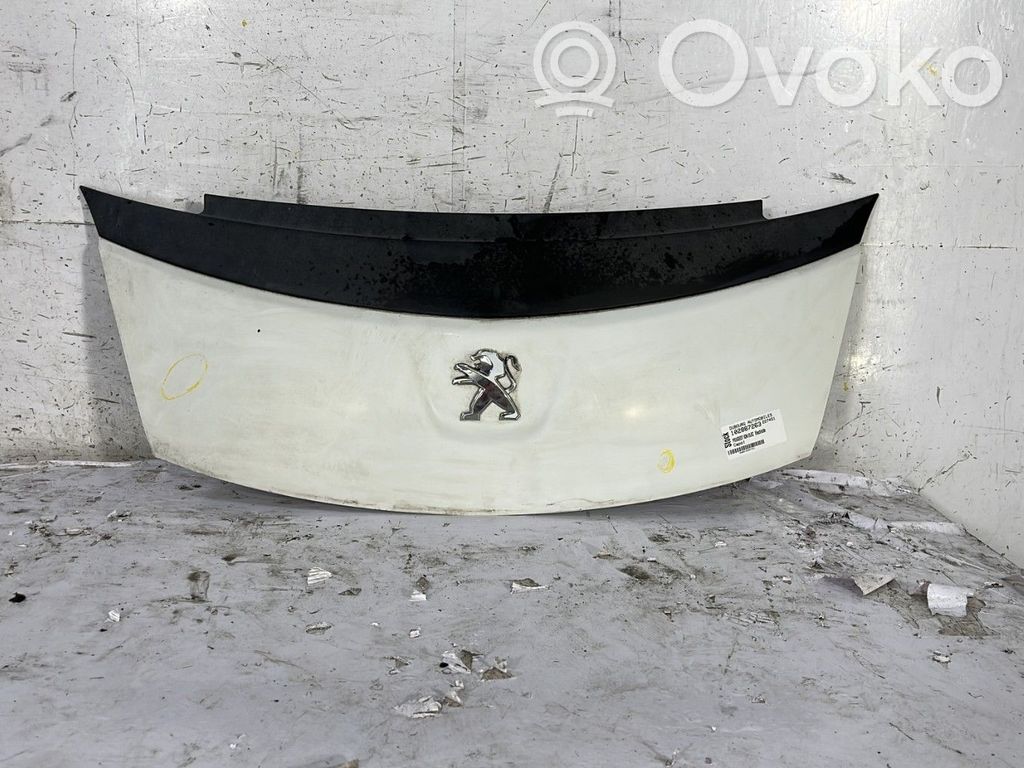 Capotă motor   1607866780