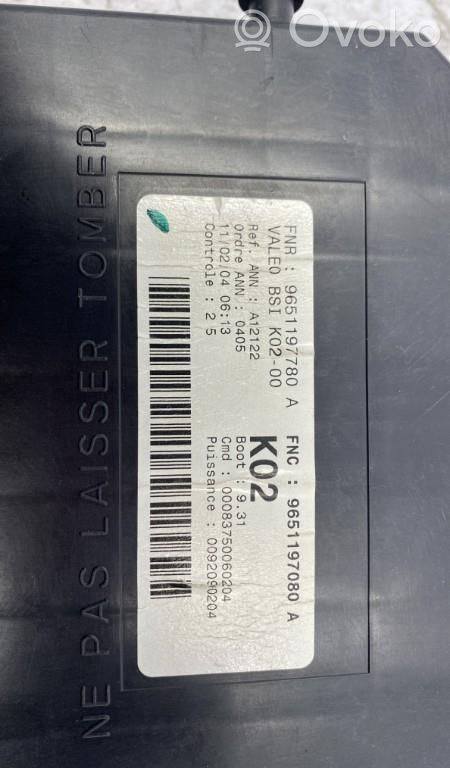 Peugeot 307 BSM Control unit 