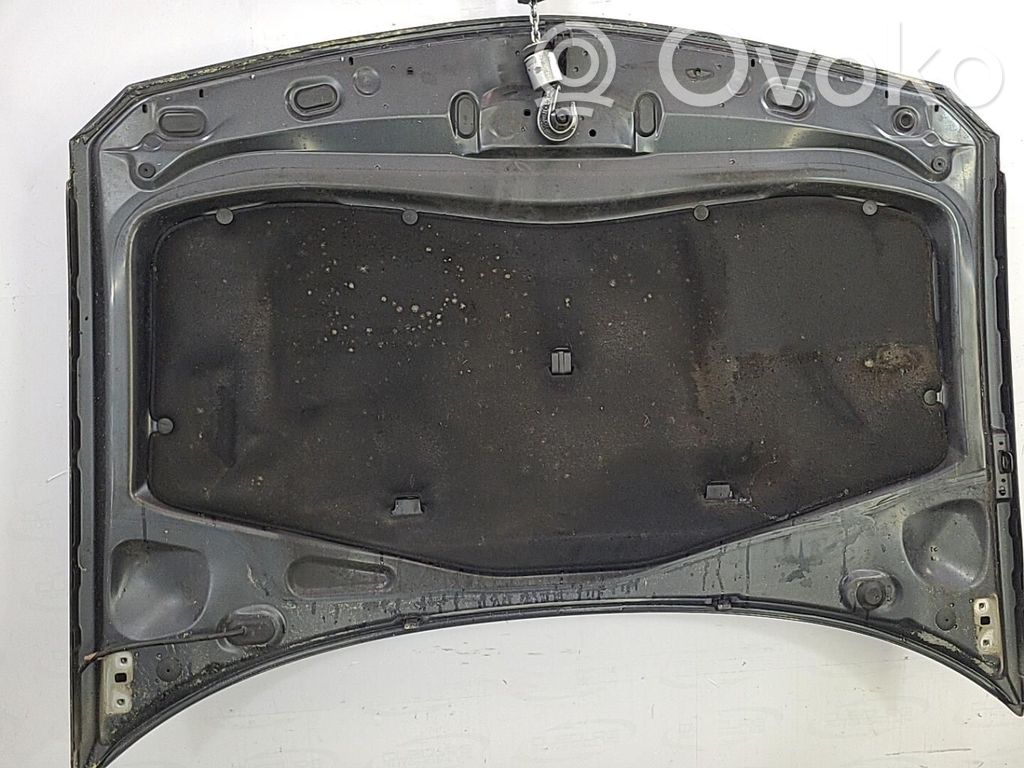 Motorhaube   7751475999