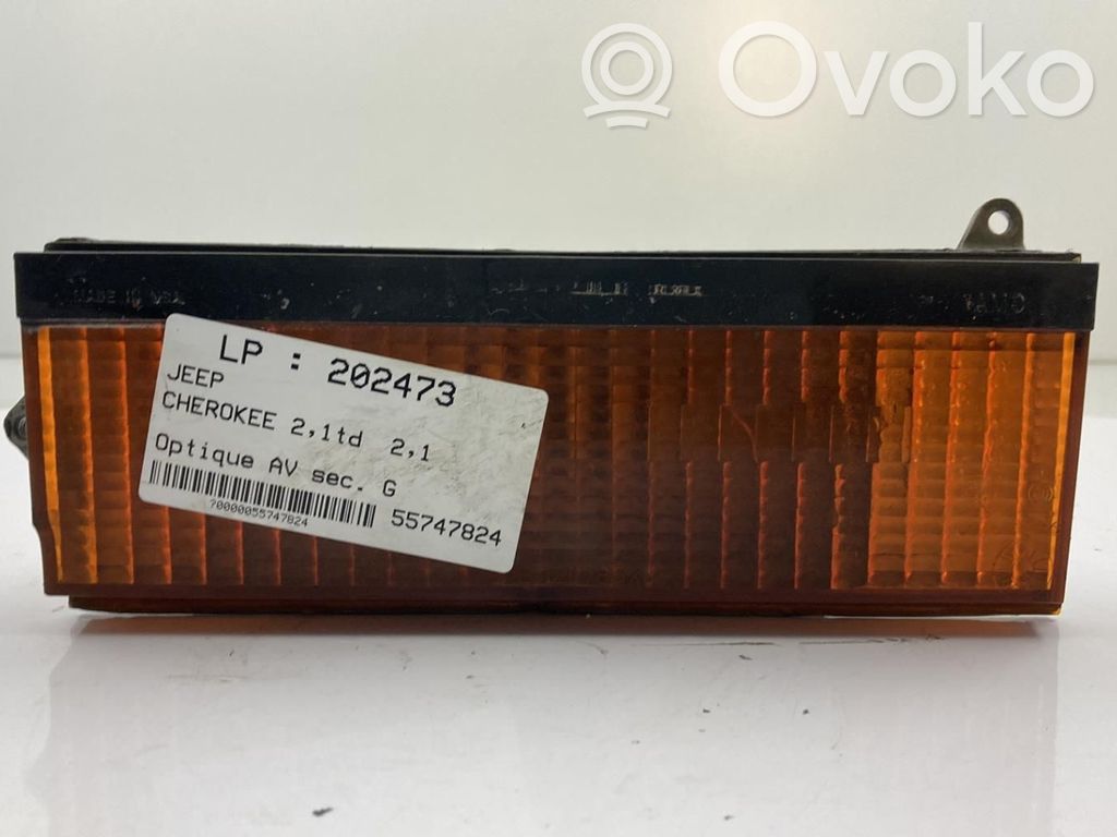 Front fender indicator light   8956000