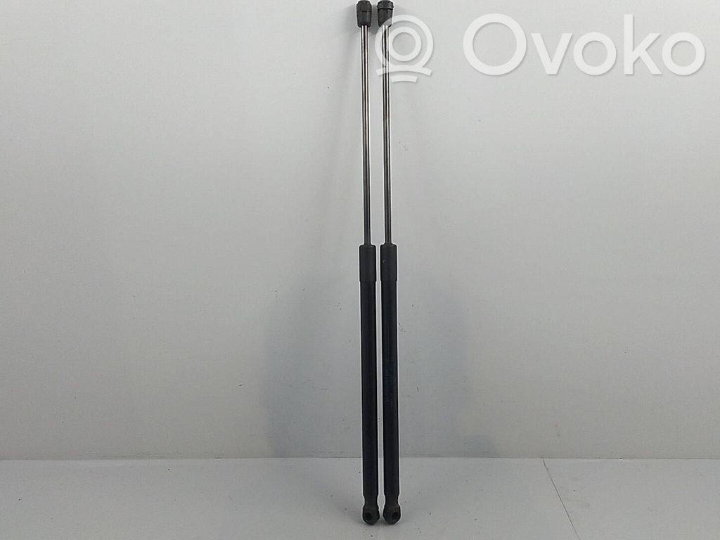 Tailgate/trunk strut/damper   1747492