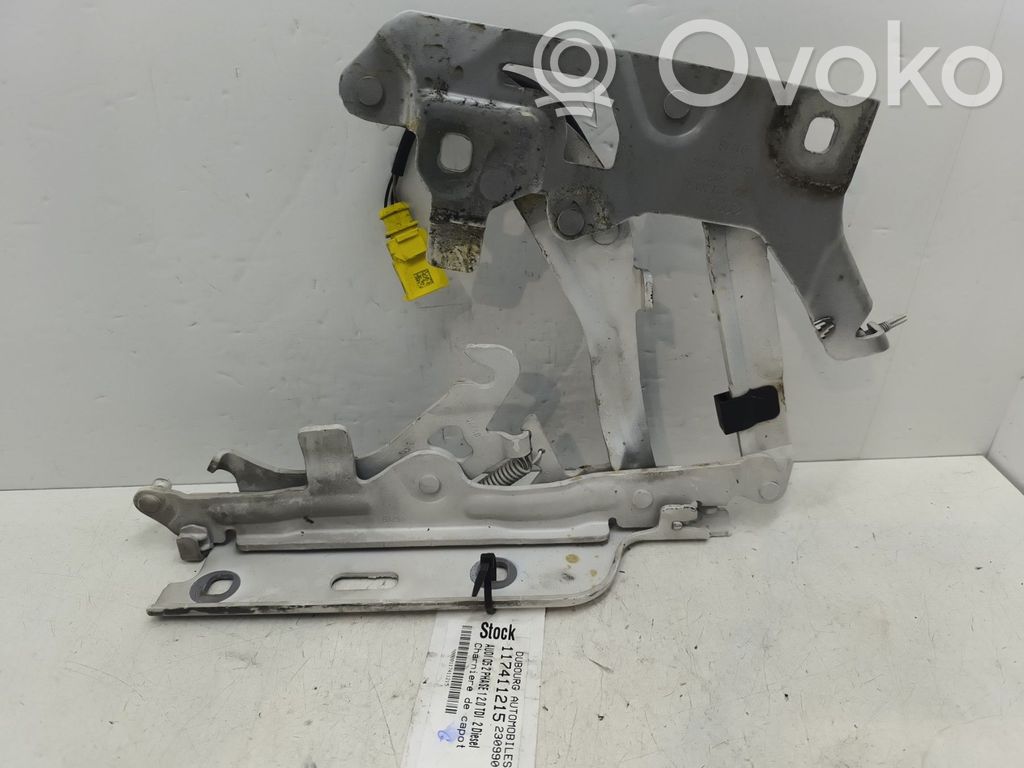 Audi Q5 SQ5 FY Balamale capotă 