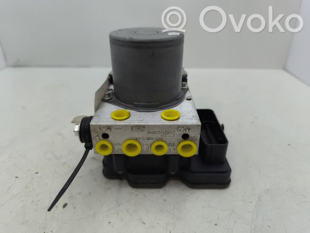 ABS Pump   2508910