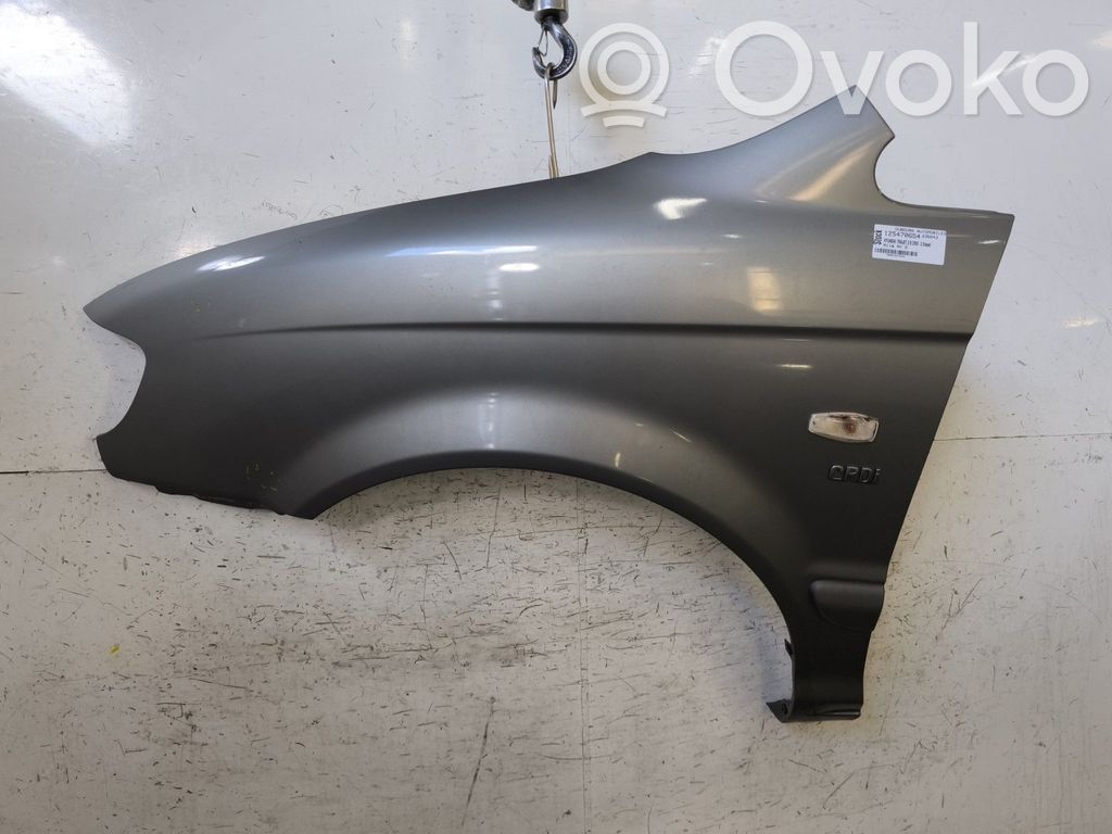 Hyundai Trajet Guardabarro 