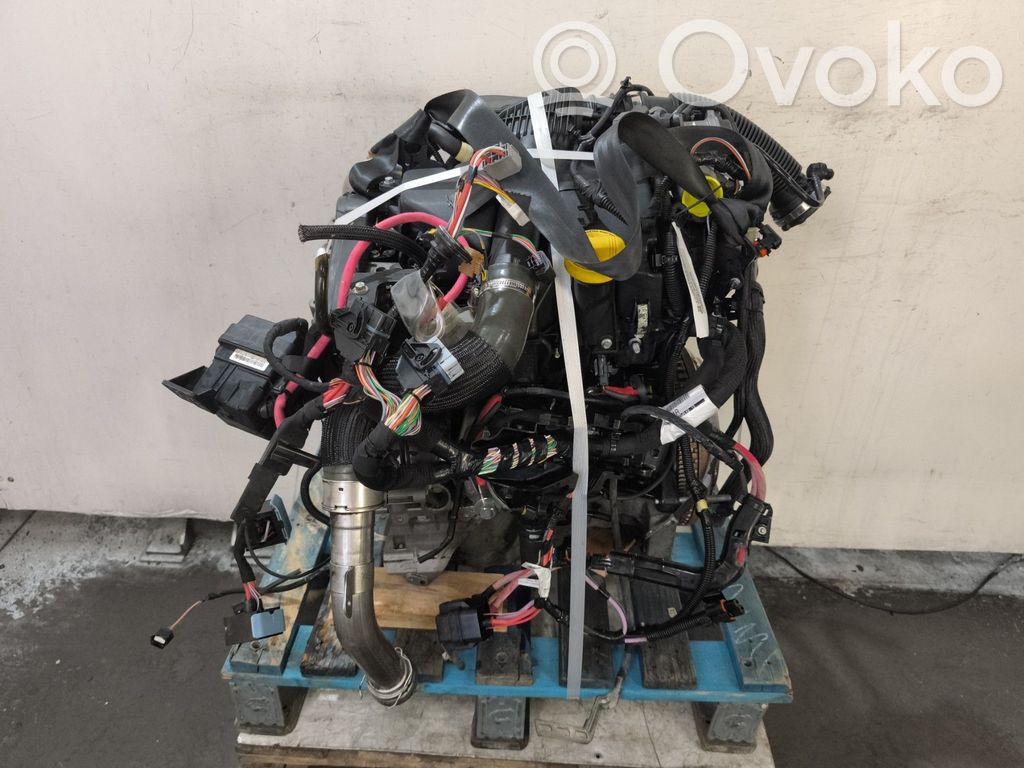 Motor   8201177757