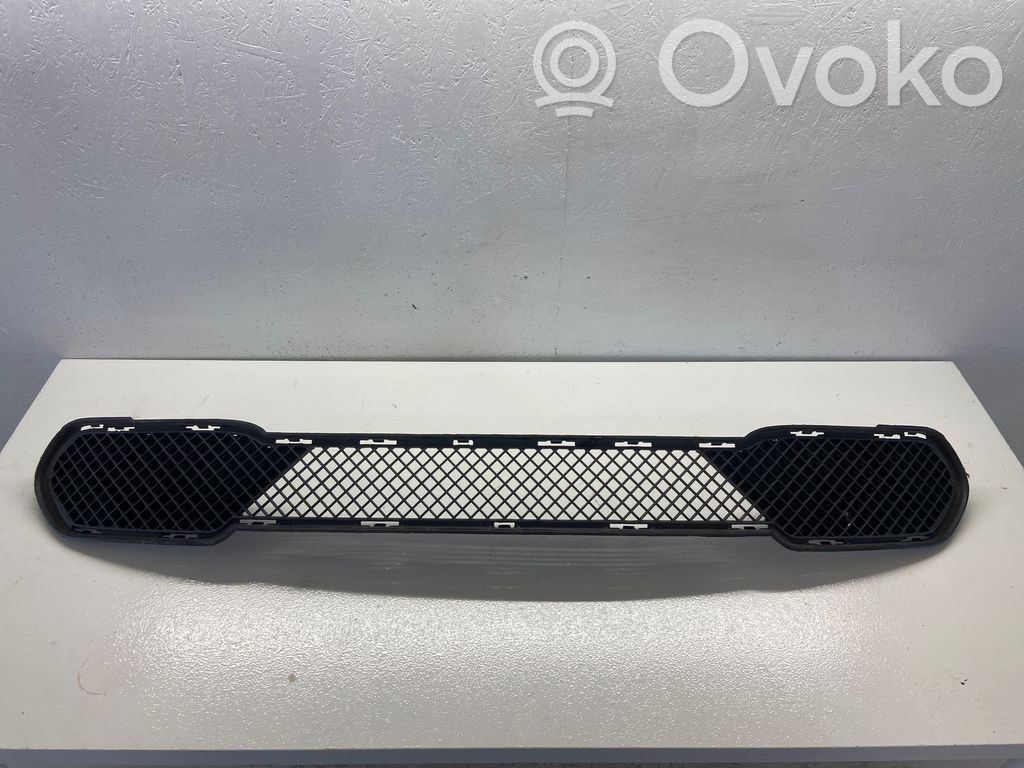 BMW X1 E84 Front bumper lower grill 